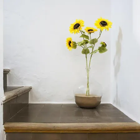 Cruce De Castro Holiday home Cadiz